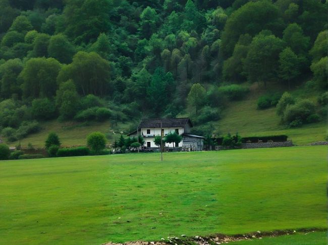 ���¶�������������