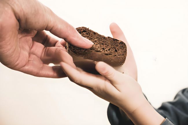 ������ؤ�Ĺ���