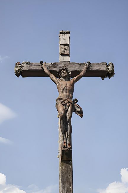 Ү�յ�����